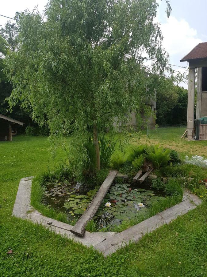 Vanzago Le Case Nel Bosco المظهر الخارجي الصورة